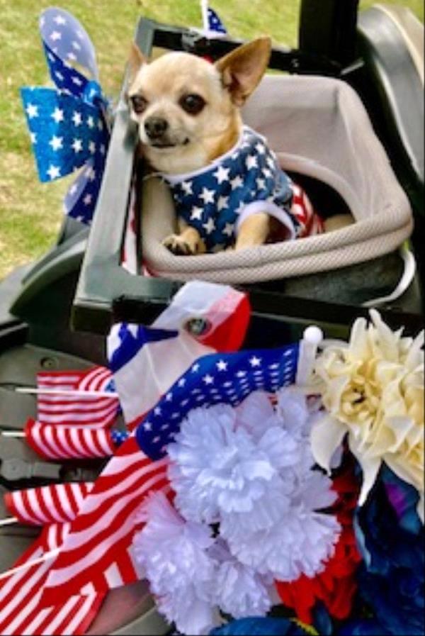 /Images/uploads/Albuquerque Publishing Company/abqjournalpetcontest_finalround2023/entries/25592thumb.jpg